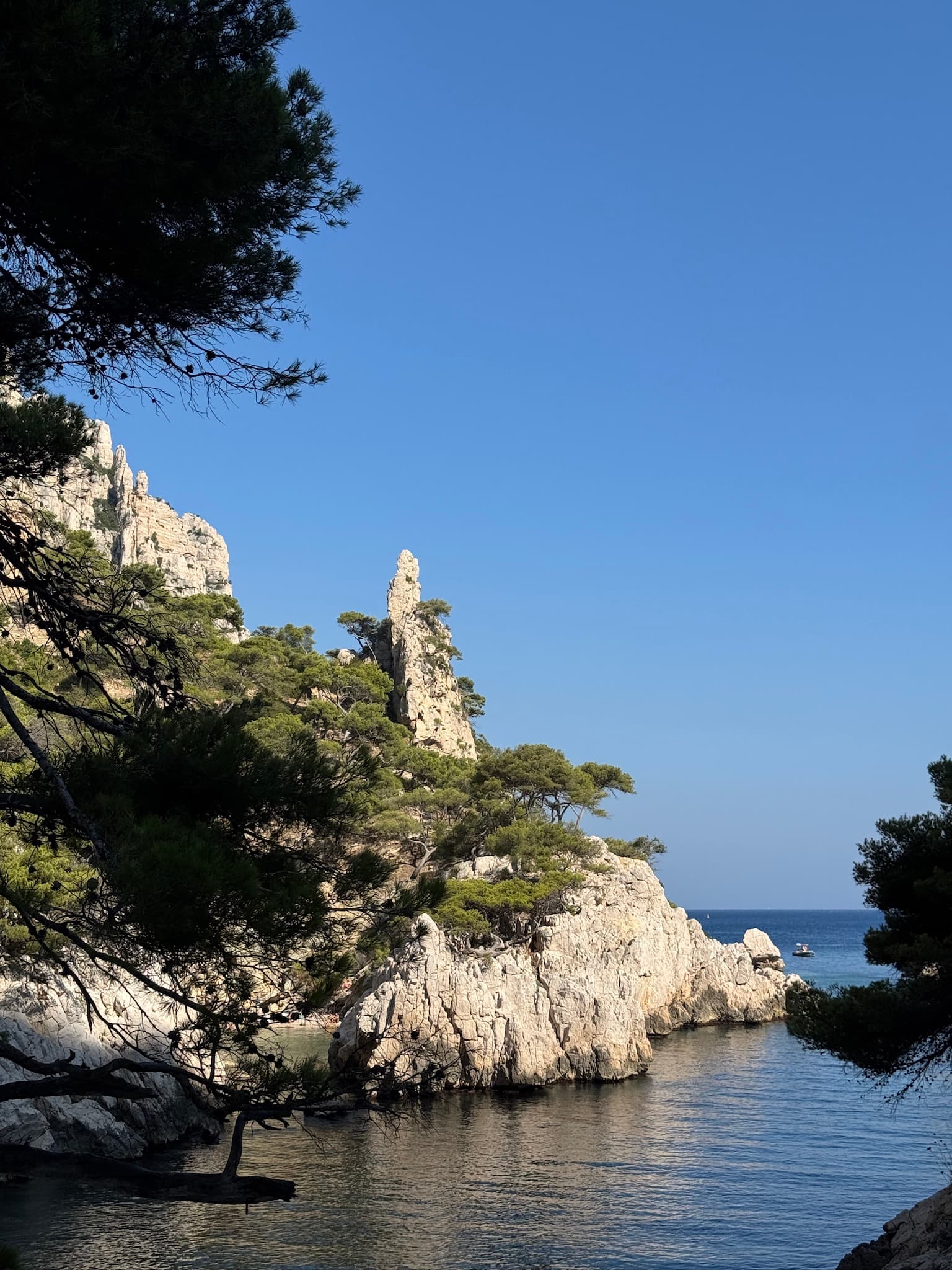 White limestone cliffs and sculpted rock pinnacles covered with pine trees above a sheltered Mediterranean inlet in the Calanques